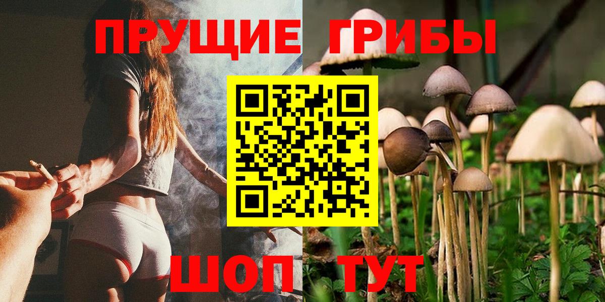 Псилоцибиновые грибы прущие грибы  Вход с VPN  Миасс 